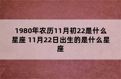 1980年农历11月初22是什么星座 11月22日出生的是什么星座